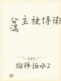 公主被侍卫填的满封面