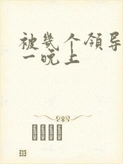 被几个领导玩弄一晚上