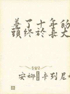 养了十年的小丫头终于长大了