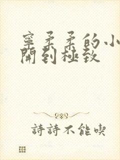 宁柔柔的小泬撑开到极致