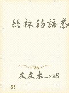 丝袜的诱惑小说