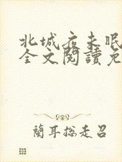 北城夜未眠小说全文阅读免费