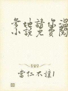 爹地请你温柔点小说免费阅读