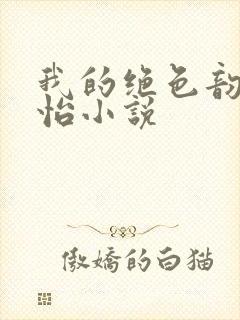 我的绝色韵母郑怡小说