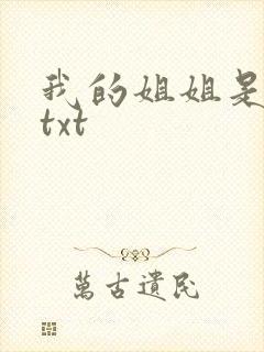 我的姐姐是美女txt