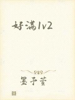 好满1v2
