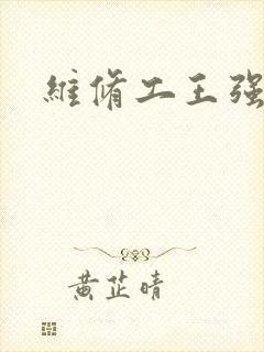 维修工王强张婷封面