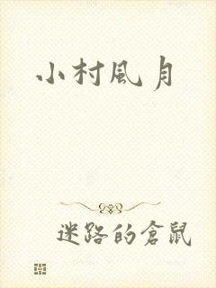 小村风月封面