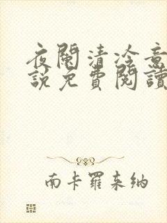 夜阑清冷意欢小说免费阅读封面