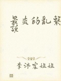 最爽的乱系列小说封面