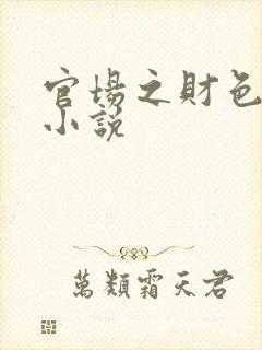 官场之财色诱人小说