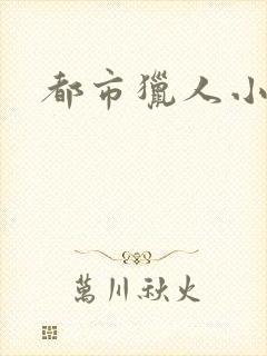 都市猎人小说