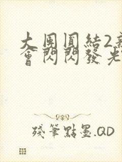 大团圆结2亲情会闪闪发光目录