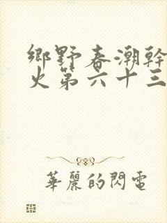 乡野春潮干柴烈火第六十三章