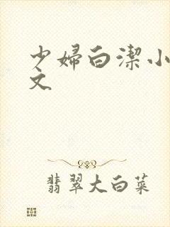 少妇白洁小说全文封面