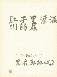 肚子里灌满男人们的尿