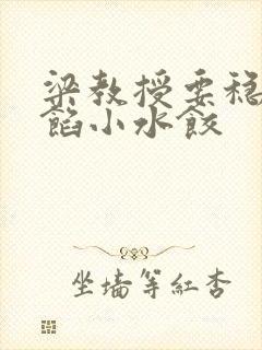 梁教授要稳住肉馅小水饺