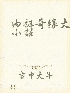 内裤奇缘大团结小说