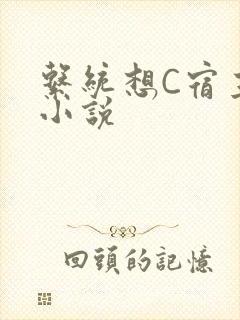 系统想C宿主的小说