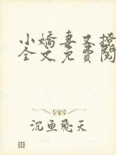 小娇妻又撩又甜全文免费阅读封面