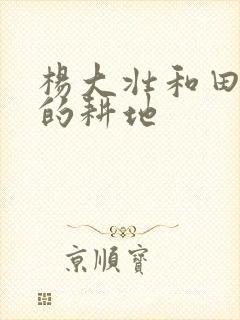 杨大壮和田桂花的耕地