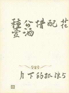 种公借配花间一壶酒