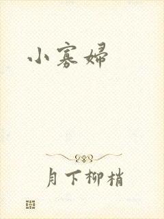 小寡妇封面