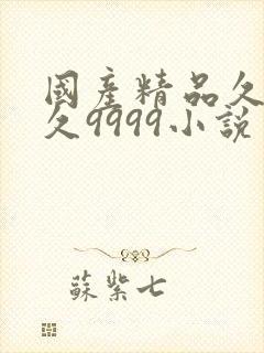 国产精品久久久久9999小说封面