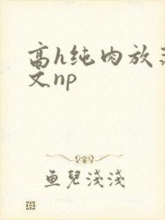 高h纯肉放荡h文np