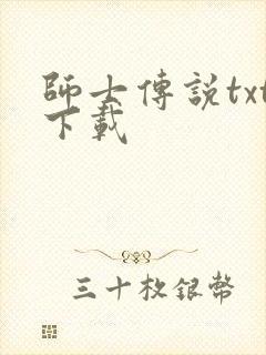 师士传说txt下载
