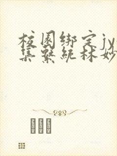 校园绑定jy收集系统林妙妙