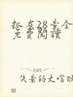 抓灰28章全部免费阅读