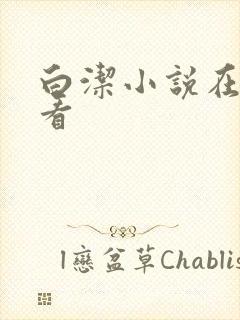 白洁小说在线观看