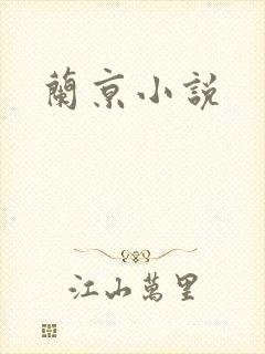 兰京小说