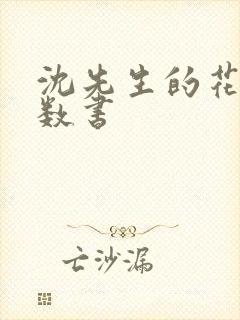 沈先生的花式调数书封面