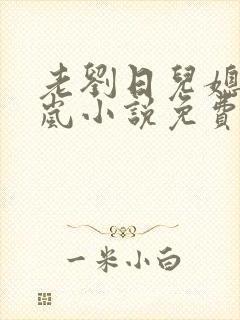 老刘日儿媳妇张岚小说免费阅读封面