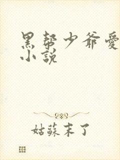 黑帮少爷爱上我小说