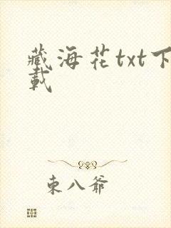 藏海花txt下载