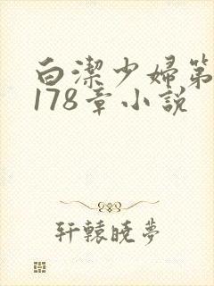 白洁少妇第1一178章小说封面