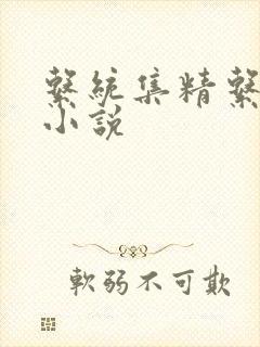 系统集精系统 小说