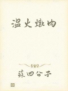 温火炖肉