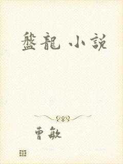 盘龙 小说