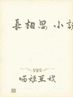 长相思 小说