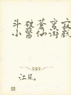 斗破苍穹寂寞的小医仙游戏世界