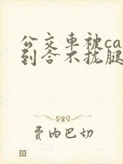 公交车被cao到合不拢腿视频封面