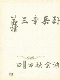 第三章岳卧室激情封面