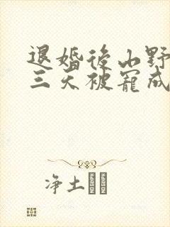 退婚后山野糙汉三天被宠成宝小说