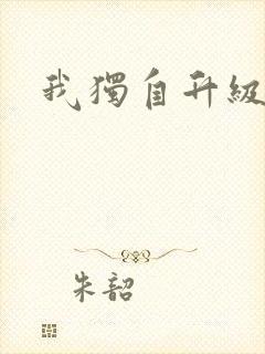 我独自升级小说