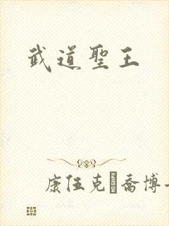 武道圣王