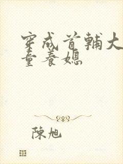 穿成首辅大人的童养媳